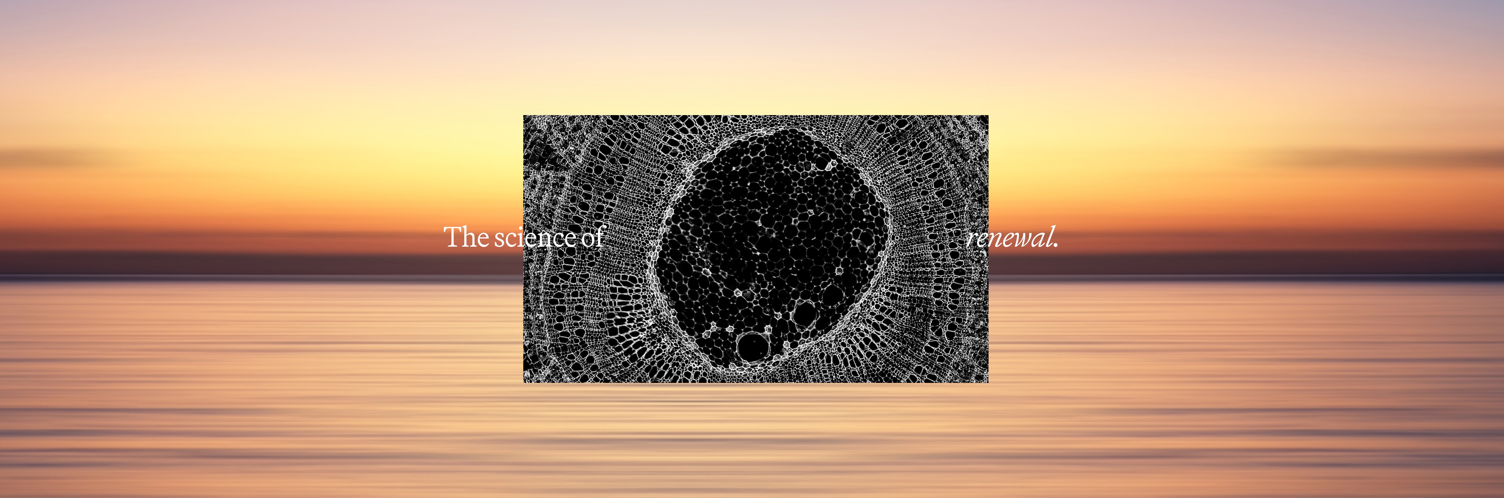 The-Science-of-renewal