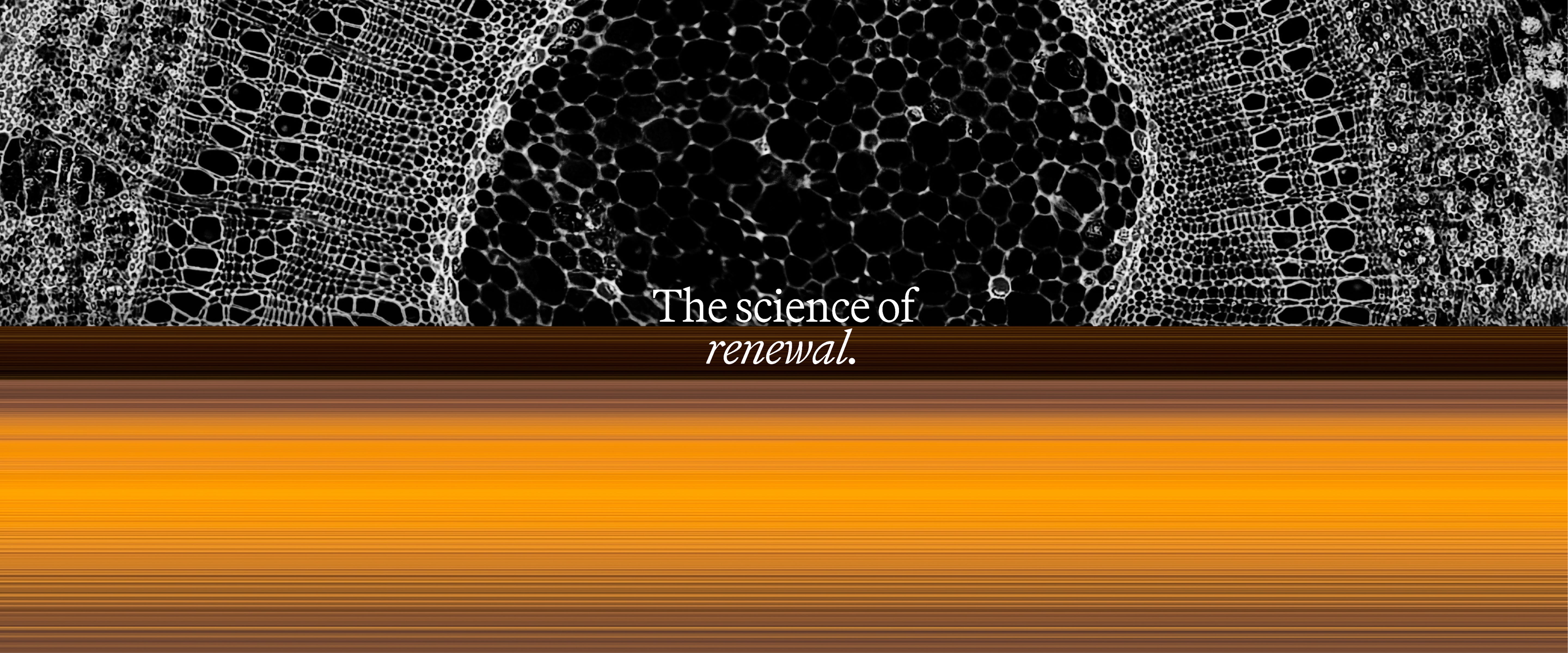 the-science-of-renewal