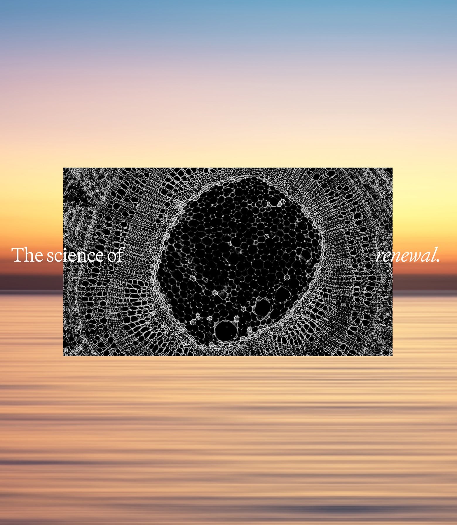 The-Science-of-renewal